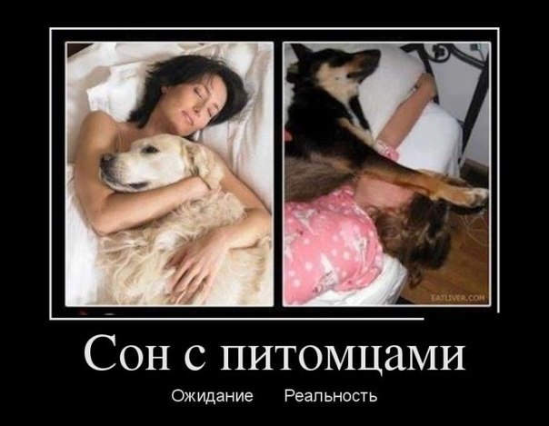 братья меньшие