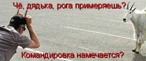 Мужик, на себе не показывай... примета плохая