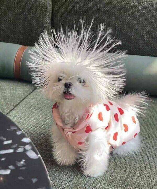 Причеха - супер!