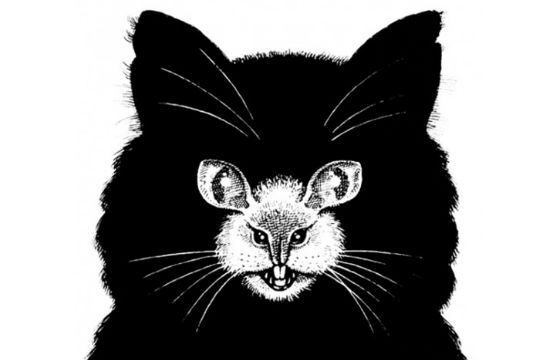 Котомыш