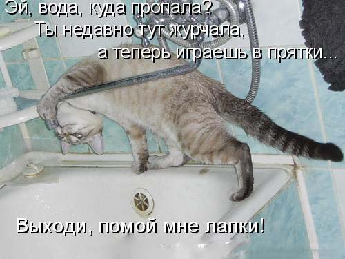 И там напор воды в котика