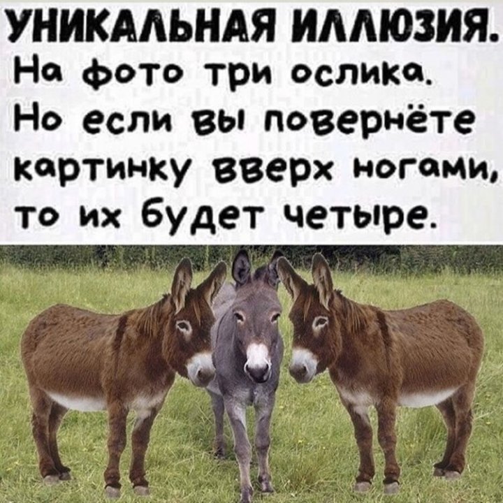 нифига,переворачиваю-тоже три!!!