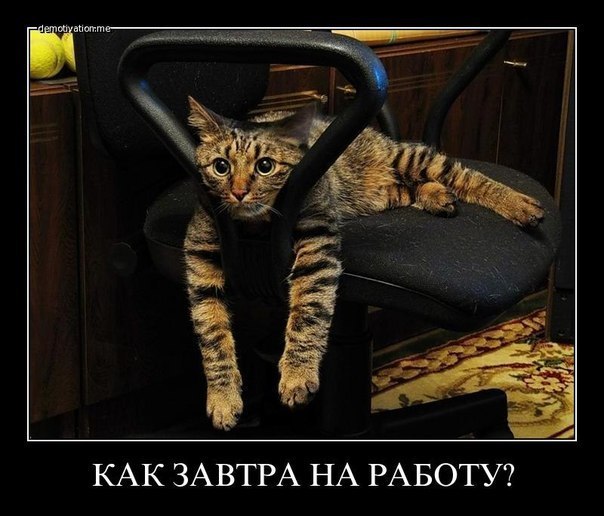 знакомая картина.. после праздников или выходных