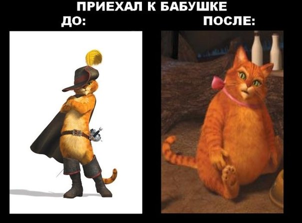 А бабуля и одела,и накормила!