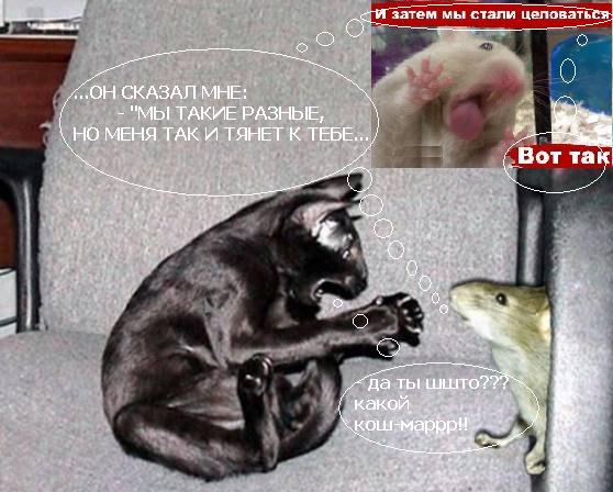 Ничто человеческое им не чуждо... или меньше телек смотреть надо!