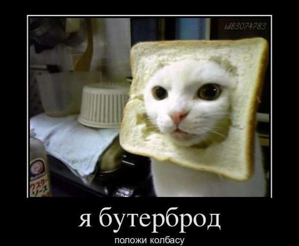 Я бутерброд, ложи колбасу!