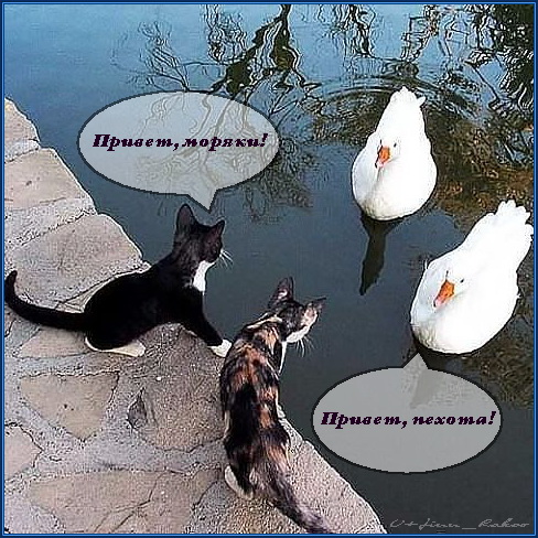 Встреча на "Эльбе".