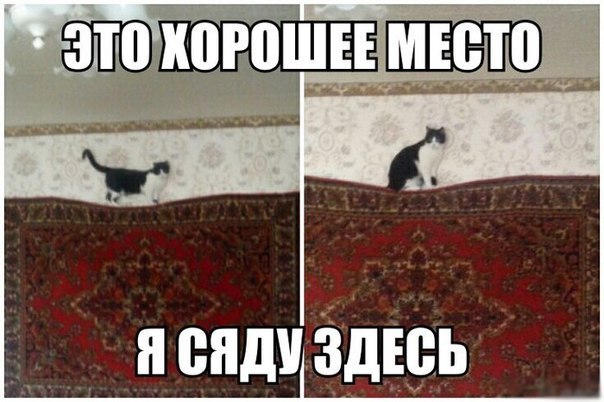 Щас кто-то как ё.бнется...!!!