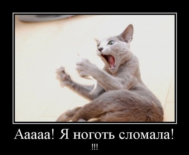 Какой кошмар!!