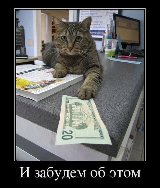 Чё, хозяин, смотришь...? Бегом за пивом и вискасом...!!!
