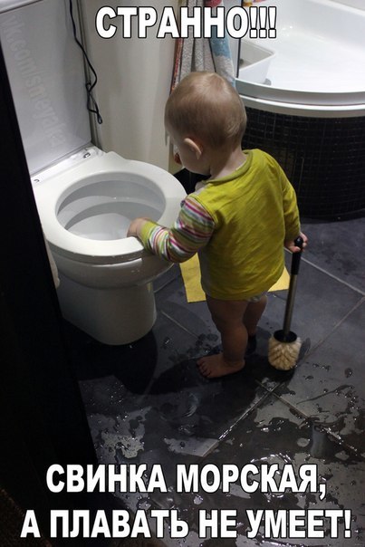 Странно!!! Свинка Морская а плавать не умеет!