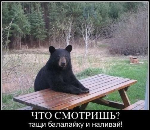 Челаэк, пару пива и миску мёду!