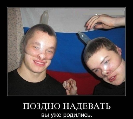 Вот они - лучшие умы России.