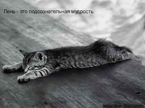 встааал, потянууулся, уснул...
