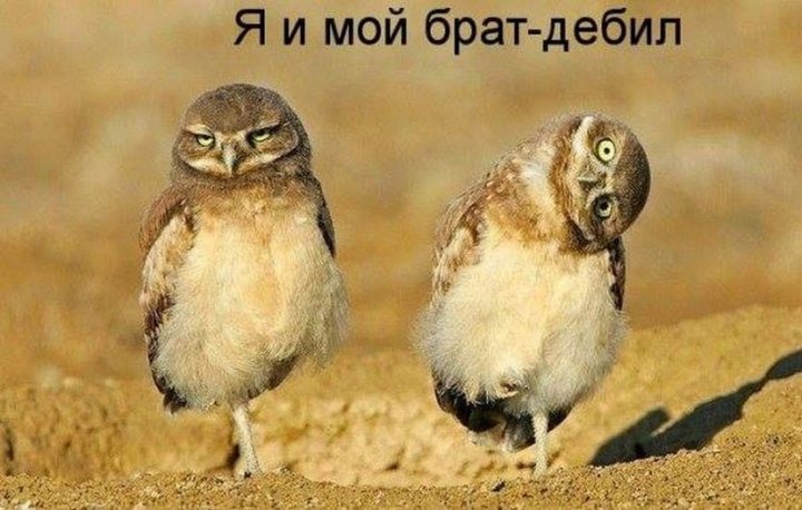Угадай - где я?