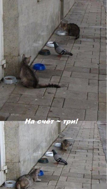 Риск