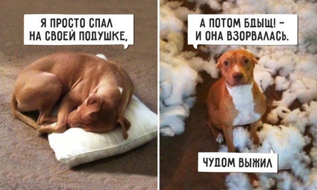 А что... я поверил... Такое вполне возможно )))