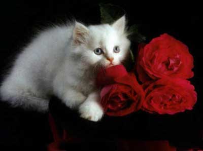 это мне уже сколько?