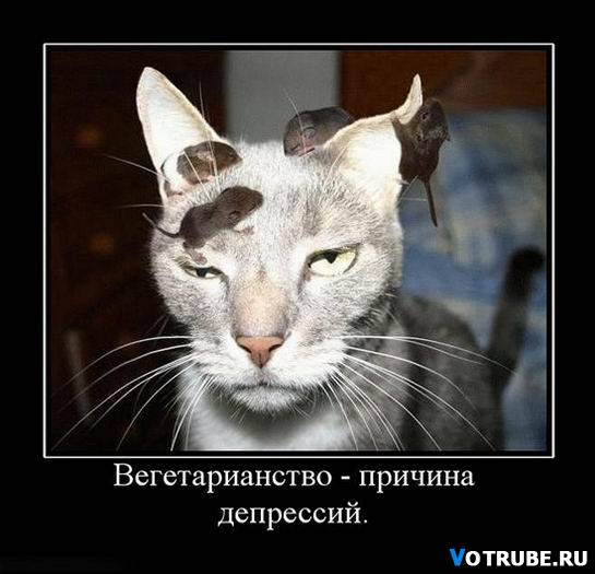 Все видал в жизни.... но таких мандавошек впервые!